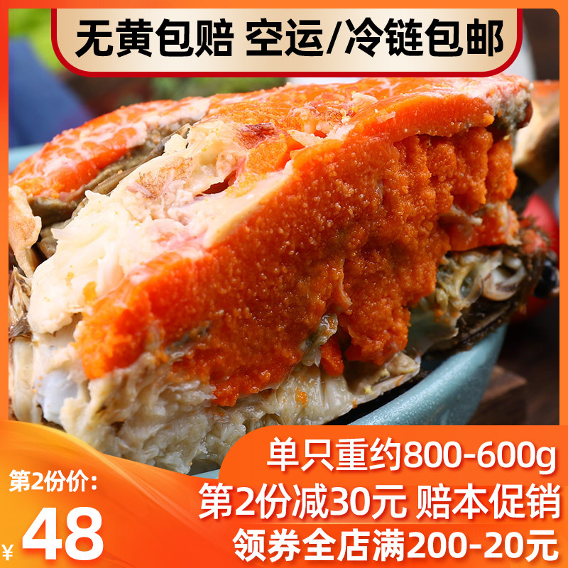 面包蟹 即食黄金蟹珍宝蟹 梭子蟹海蟹母熟冻鲜活海鲜水产超大螃蟹