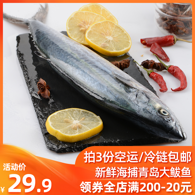 Qingdao Shazikou characteristic Spanish mackerel fresh Fish Spanish mackerel Fresh Spanish mackerel Each 550g Abovein the Aquatic meat/Fresh fruits and vegetables/Cooked , Seafood/Aquatic/Product , Seafood Fish , Spanish mackerel category - from Buy2taobao.com to provide professional Taobao agent buy service