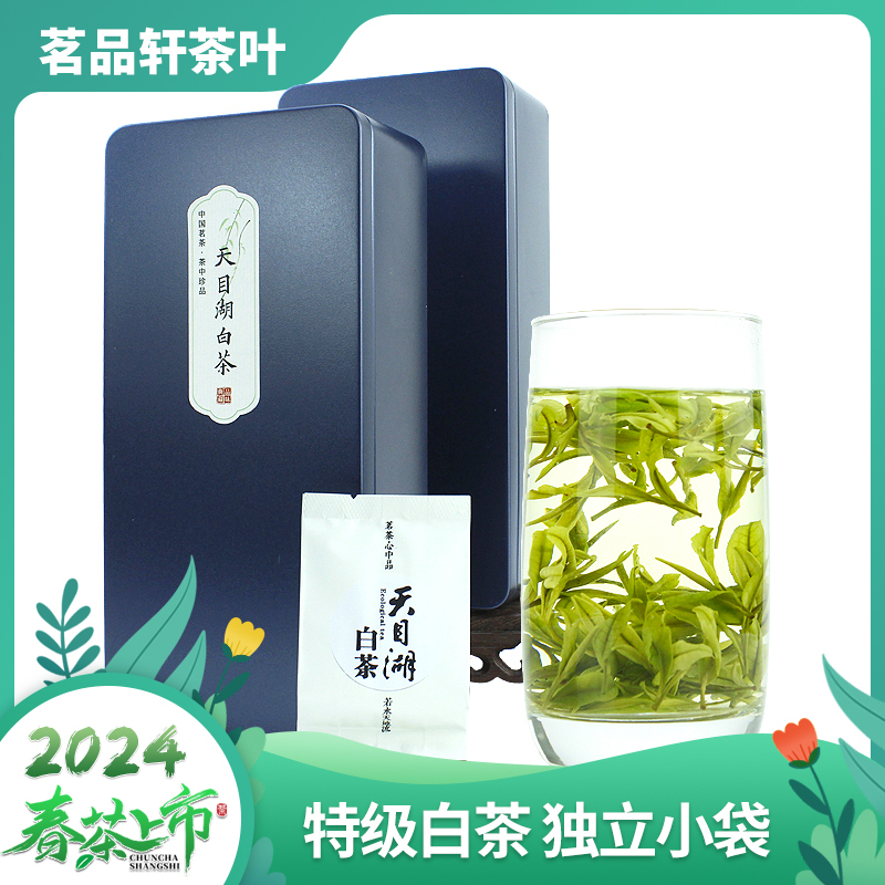 2024新茶常州绿茶溧阳天目湖白茶 明前特级独立小袋 伴手礼盒装