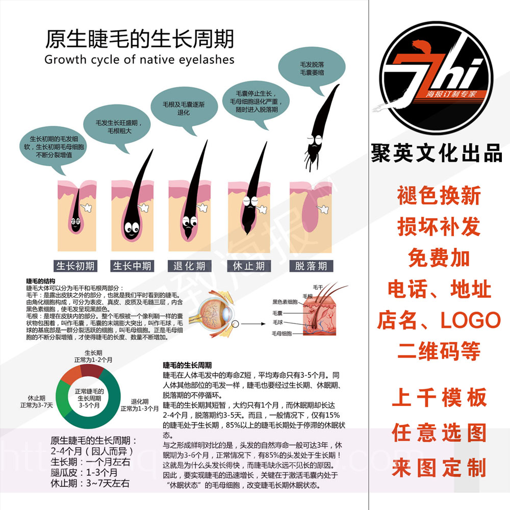 专业美睫的四大标准原生睫毛的生长周期嫁接睫毛实木框无框画相纸|ruв категории персональные настройки/разработка услуг/DIY, ежедневно/украшения на заказ, портрет/плакат печатных - от Buy2taobao.com для оказания профессиональной услуги покупки агента Taobao