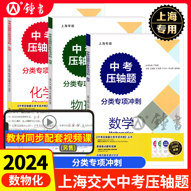 2024新版交大中考压轴题分类专项