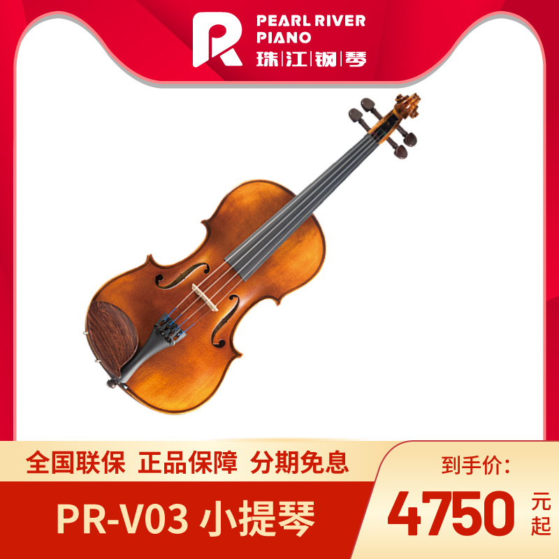珠江提琴PR-V03考级手工小提琴演奏成人儿童入门专业初学者