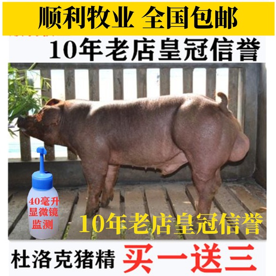 Smoothly Livestock Duroc Breeding Thoroughbred Boar Semen sperm Sow Estrus Large white Landracein the Livestock/Aquaculture supplies , Livestock/Aquaculture Service , Breeding Services category - from Buy2taobao.com to provide professional Taobao agent buy service
