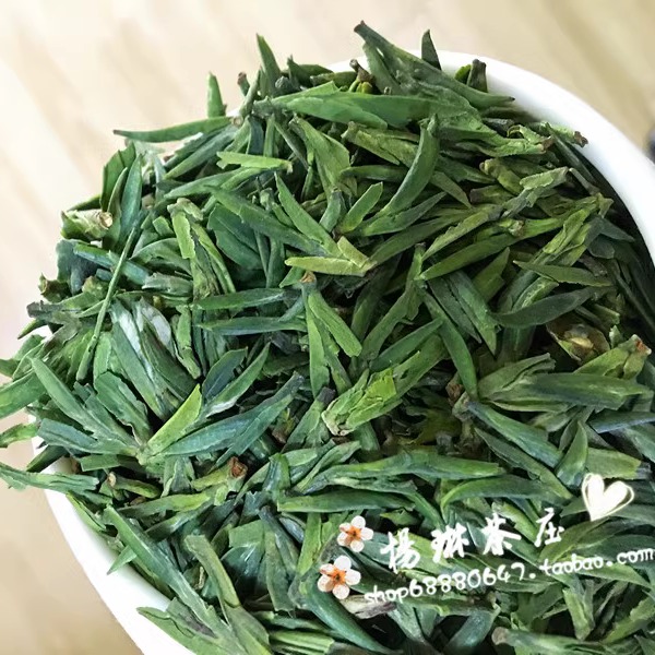 头采茶2024年新茶明前春茶雀舌绿茶/散装头采雀舌茶叶50g