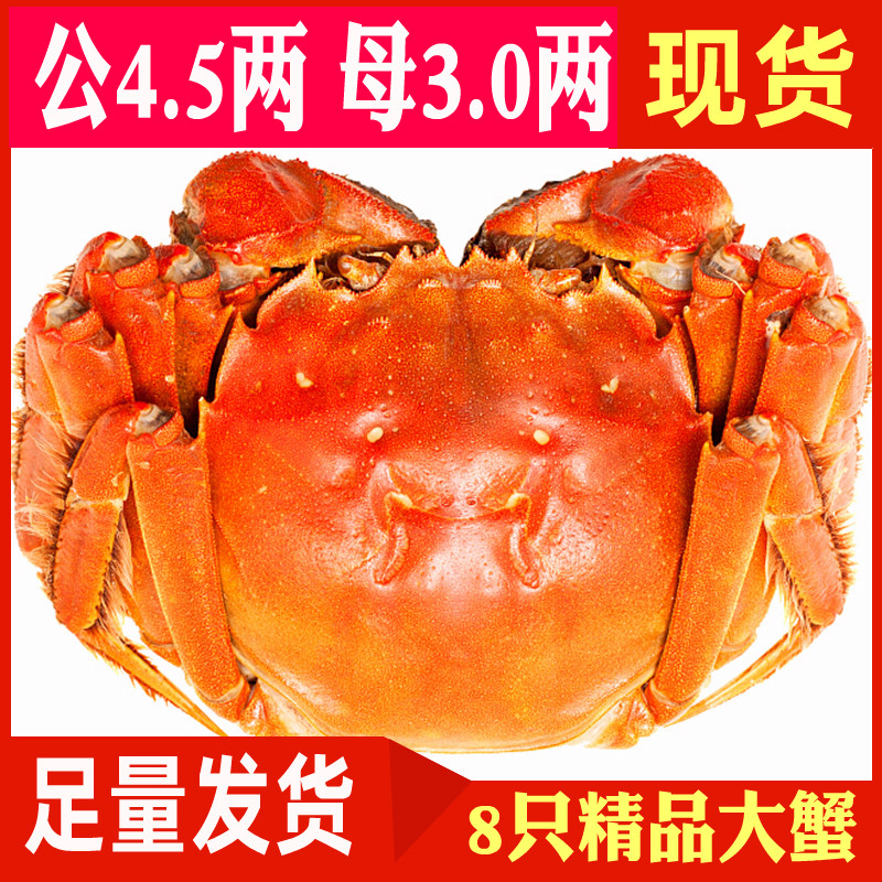 现货吴冠精品大闸蟹鲜活特大公螃蟹4.5两母蟹3.0两4对礼盒装在类目 水产肉类/新鲜蔬果/熟食, 海鲜/水产品/制品, 蟹类, 大闸蟹中 - 来自Buy2taobao.com提供专业的淘宝代购服务