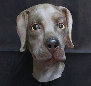 可爱的简单的狗面具图片