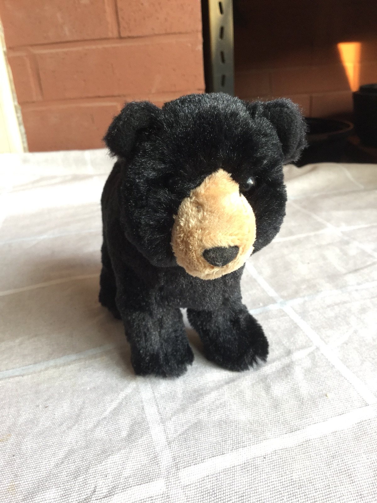 处理库存美国douglas 小黑熊狗熊毛绒玩具公仔玩偶长20cm19.99元