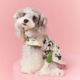狗狗衣服夏季薄款新中式中国风无袖背心泰迪比熊雪纳瑞宠物衣服潮