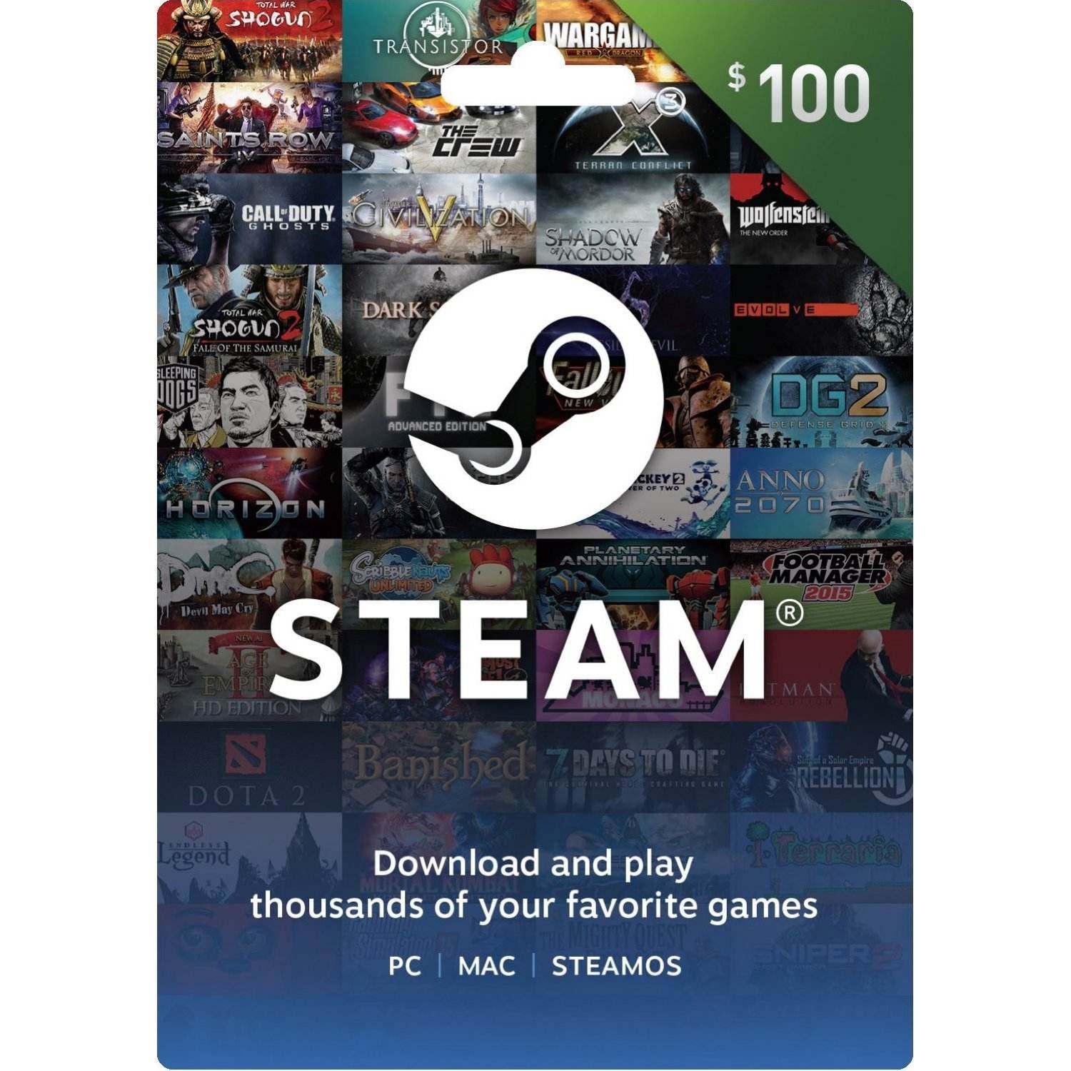 steam充值卡100美金