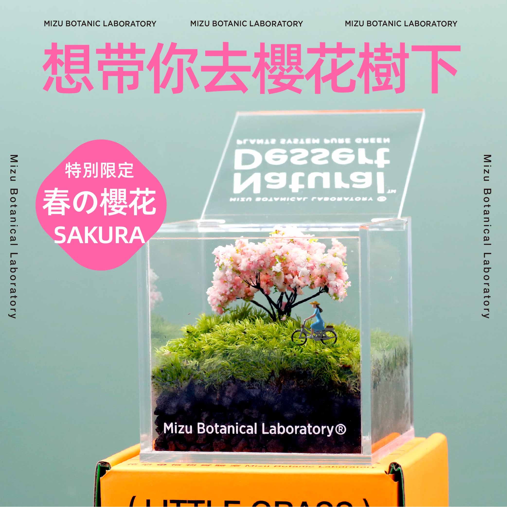 花治实验室苔藓植物礼品苔藓微景观创意礼物桌面情绪生态瓶办公室