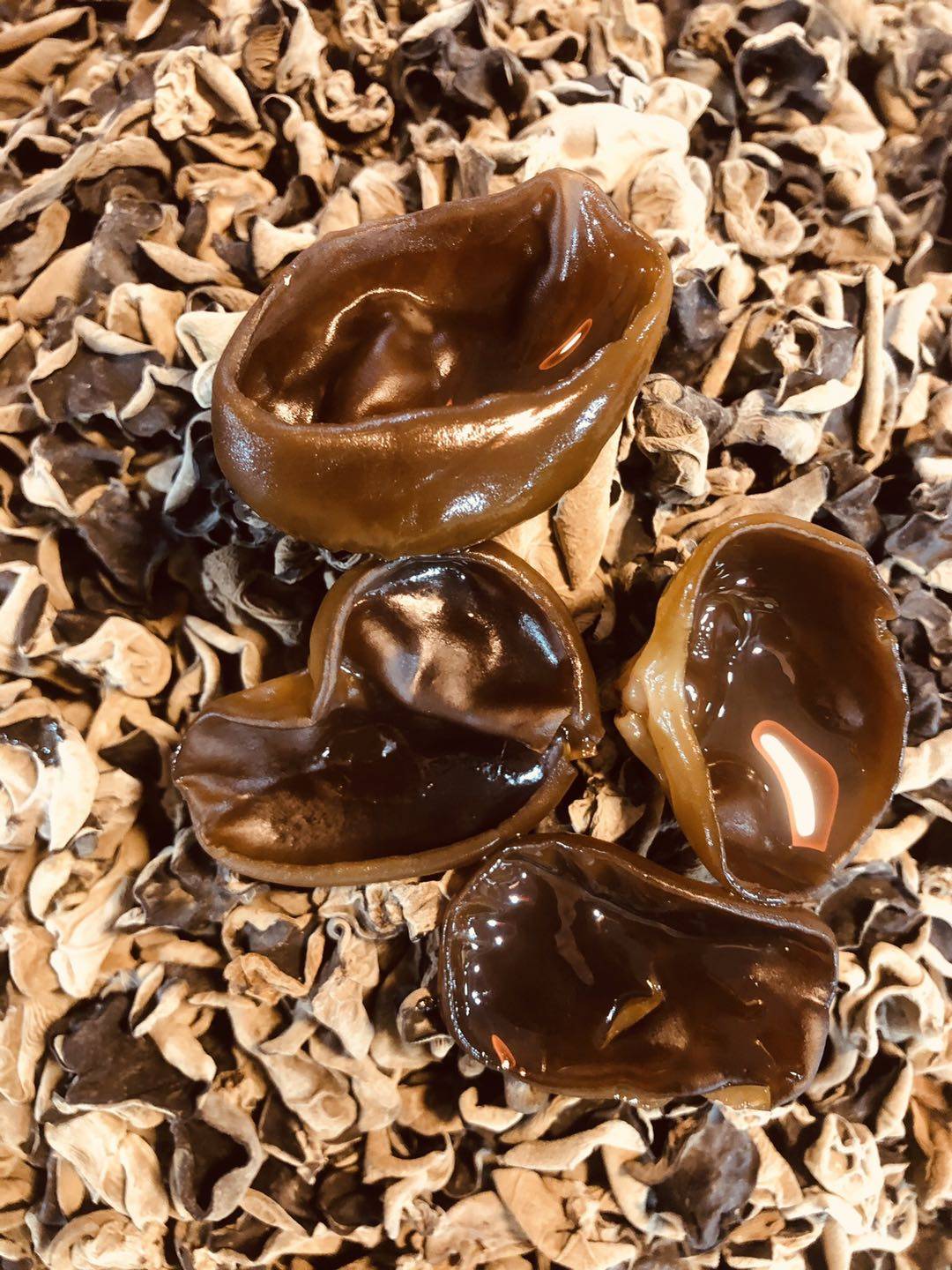 东北辽宁桓仁产地特产2021年新货一级厚肉小碗黑木耳1斤装包邮