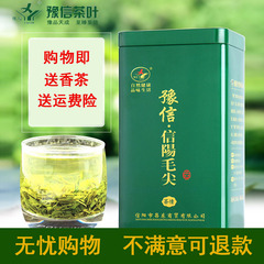 信阳毛尖炒青绿茶春茶茶叶自产自销茶情装250g送香茶送同款