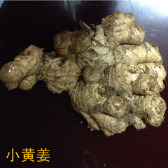 贵州兴义巴结山区土特产小黄姜老姜干姜炖汤炒菜烹饪调料500g