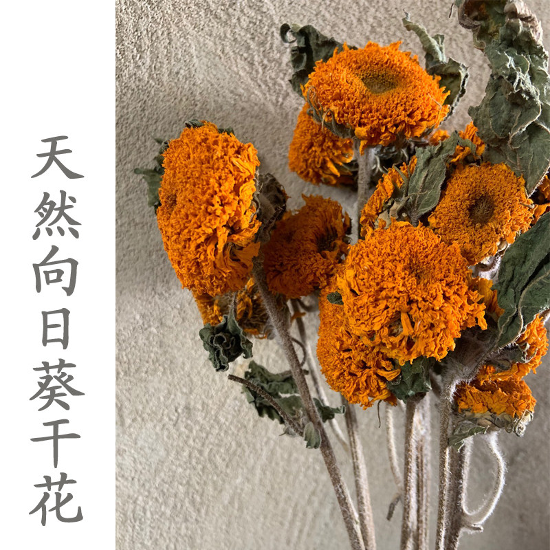 特价干花花束 风干 复古_包邮向日葵干花花束纯天然风干花干树枝复古