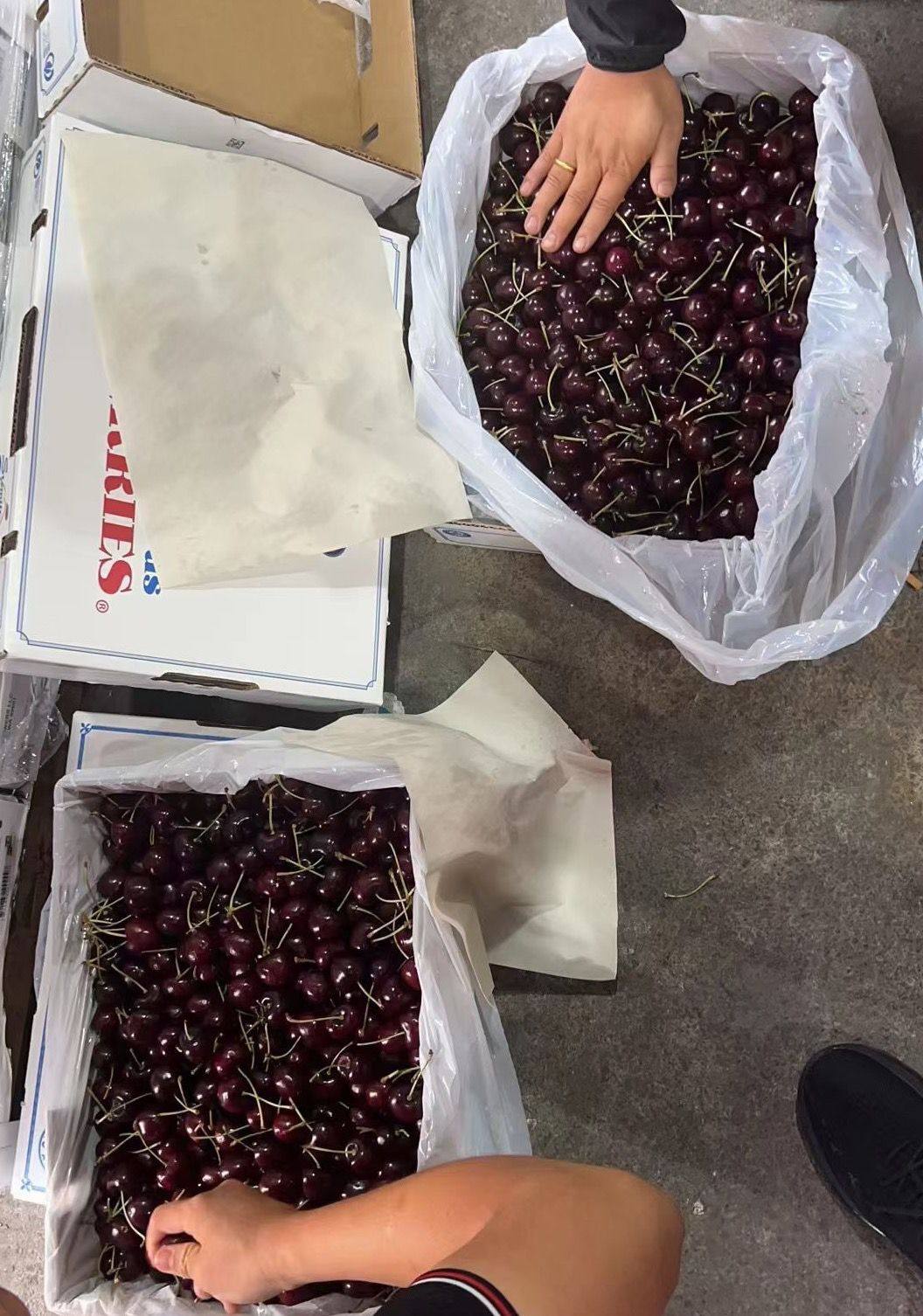 北京当日达】车厘子原箱送礼新鲜美国水果进口礼盒樱桃车厘子整箱