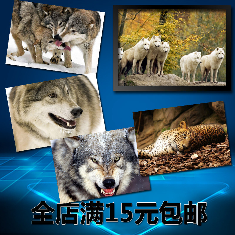 ���ݵ��� ���� �������� �����b� ���� ��ľ��� ��Ƭ��ţƤ��