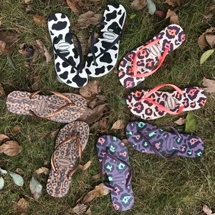 gucci花紋布 2020巴西哈瓦那havaianas Slim Animals細帶腰身動物花紋 女拖鞋 gucci提花布