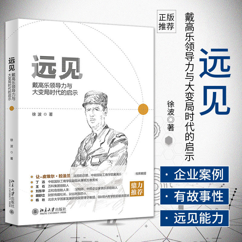 远见戴高乐领导力与大变局时代的启示徐波著深刻分析戴高乐领导力学的