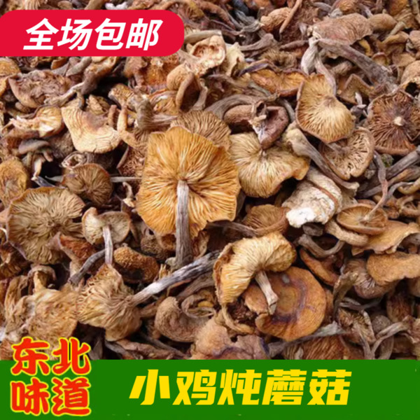 东北榛蘑 森林蘑菇干货 农家自晒榛蘑丁小鸡炖蘑菇250g 新货包邮