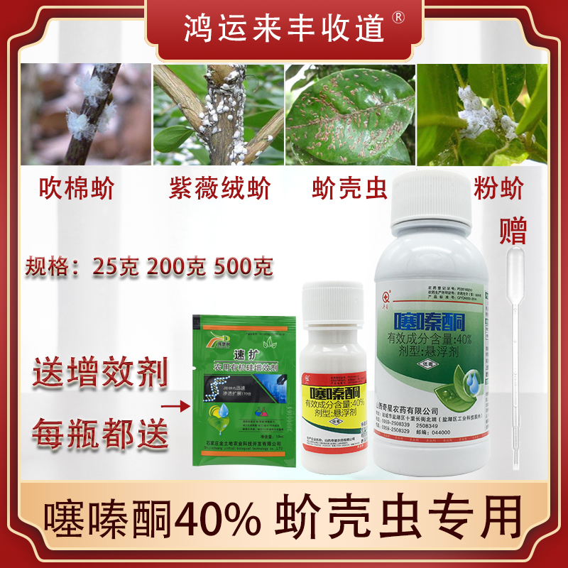 介壳虫专用药专杀蚧壳虫噻嗪酮花卉多肉果树兰花家用农药杀虫剂