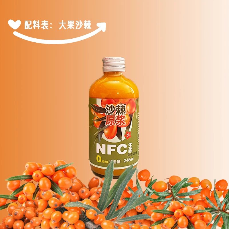 新疆特产沙棘原浆正品阿拉尔礼物NFC生榨0添加沙棘果浆248ml*12瓶