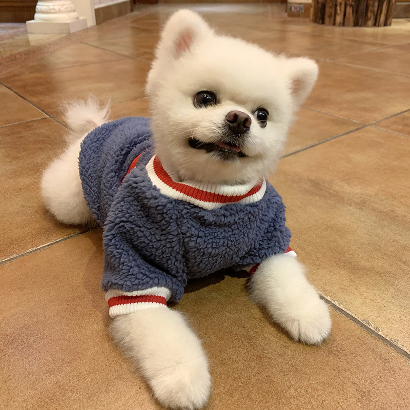 热销狗狗衣服 小型犬_宠物衣服狗狗猫咪衣服小型犬加厚泰迪比熊博美春