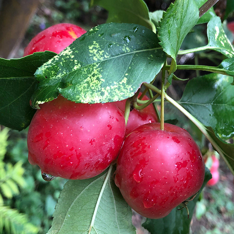 怀来特产大世界的优惠券大全