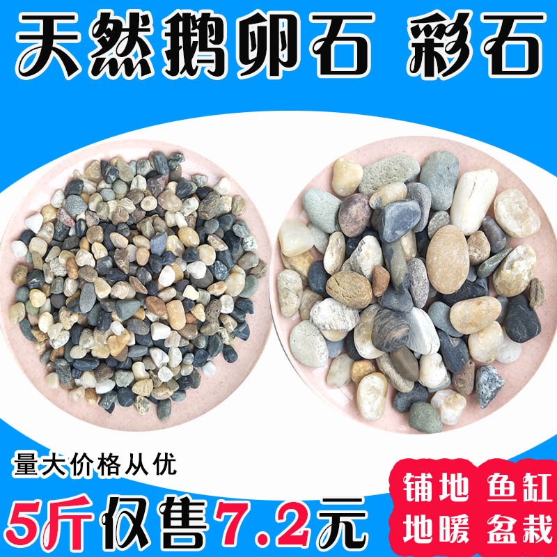 天然鹅卵石五彩原石地暖回填豆石园艺造景铺面鱼缸装饰小石子庭院|ruв категории основы строительных материалов, песок/камень, булыжник - от Buy2taobao.com для оказания профессиональной услуги покупки агента Taobao