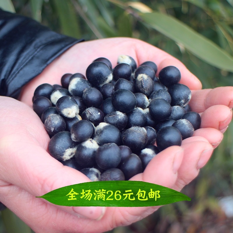 无患子树苗种子木患子不含果皮正圆做手串手链念佛珠菩提子250克