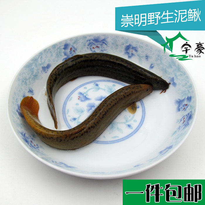 崇明野生黄泥鳅活体鲜活鳅鱼现杀新鲜河鲜黄鳝泥鳅青鳅500g