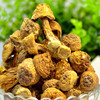 云南姬松茸干货鸡姫松茸特产松茸菌新鲜巴西菇干蘑菇25g|ru 云南姬松茸干货鸡姫松茸特产松茸菌新鲜巴西菇干蘑菇25g|ru