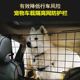 宠物狗狗坐车载防护栏车用后备箱围栏车内通用汽车前后排隔离网