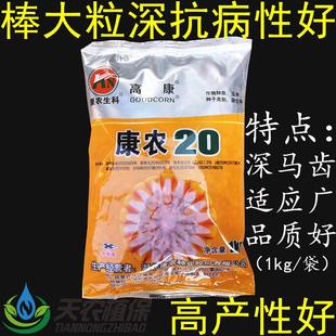 康农20杂交玉米种子大田饲料玉米种籽矮杆大棒高产白轴深马齿包邮