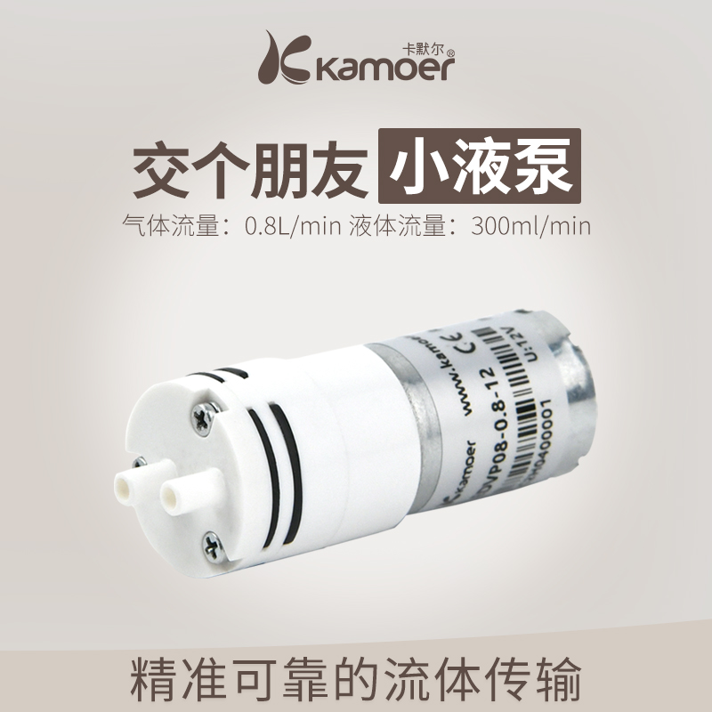 卡默尔微型隔膜泵真空泵 小水泵小型