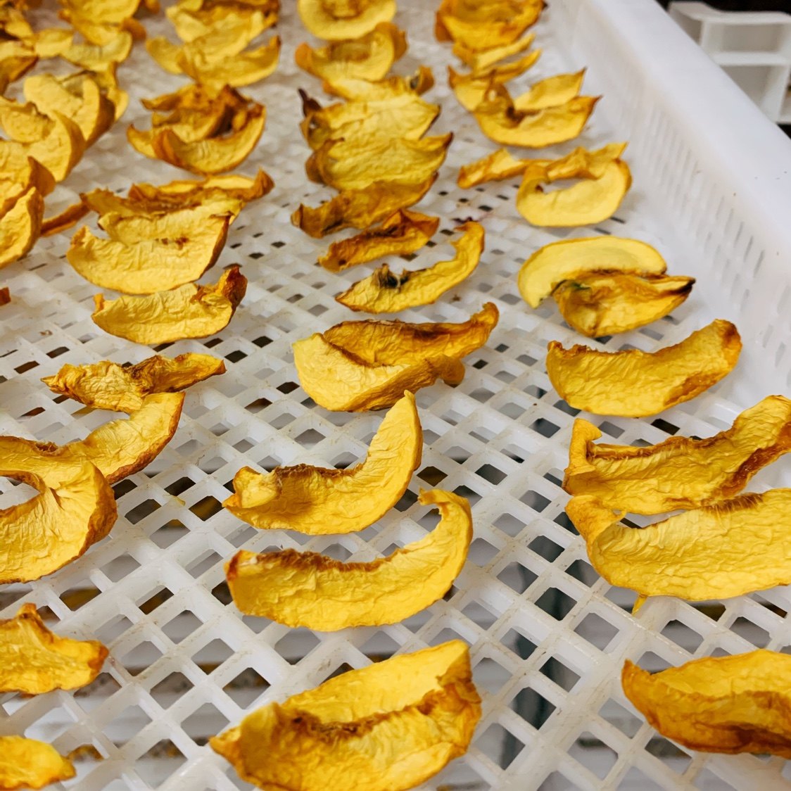 一折水果茶 无添加_烟台本地无添加黄桃干 烘干桃子干 可泡茶水果干