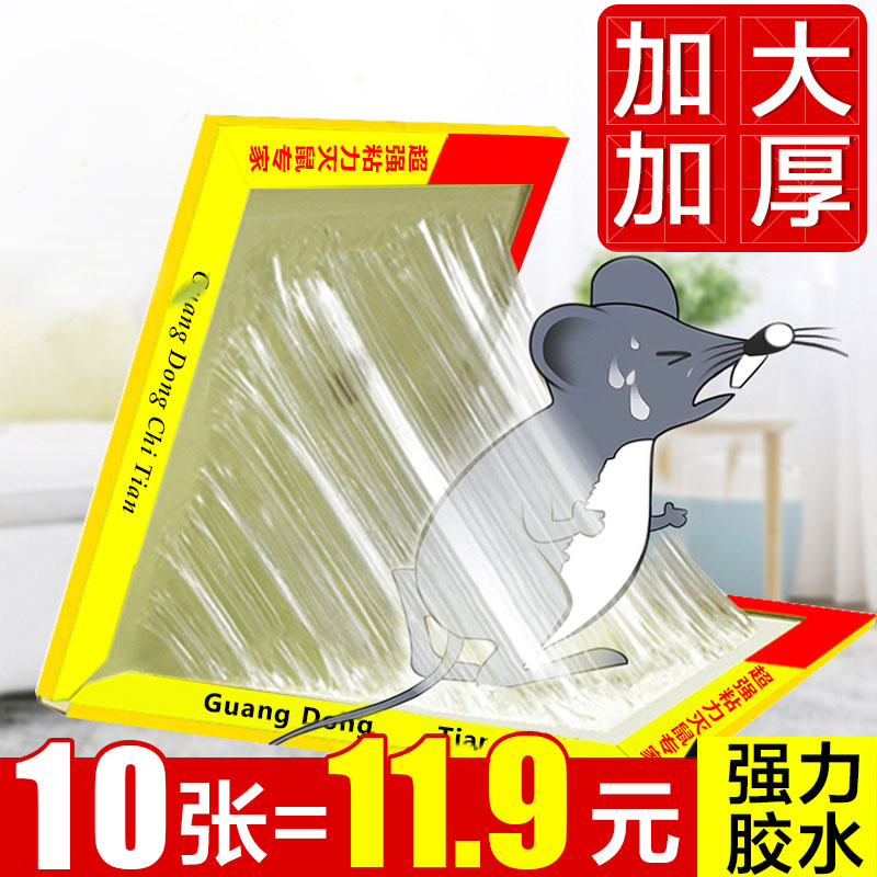 粘鼠板超强力老鼠粘贴灭捕鼠器驱抓捉沾大号鼠黏药胶神器家用正品