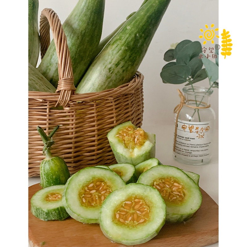 米小田山东潍坊寿光头茬老羊角蜜棒槌瓜自然熟脆甜45斤当季现摘