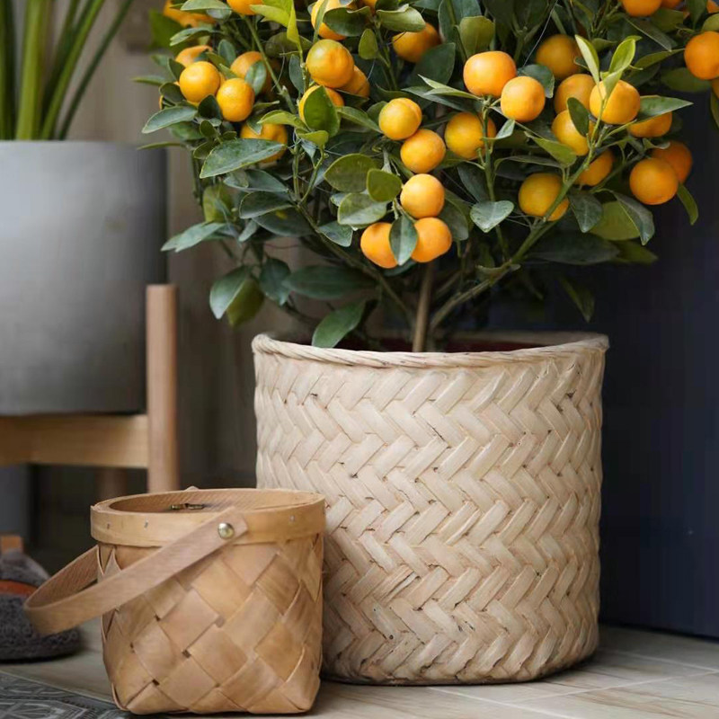 竹编水泥花盆大号无孔复古编织竹篮竹筐室内藤编盆栽盆器北欧ins