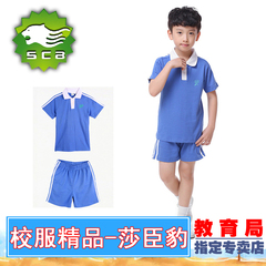 莎臣豹校服深圳校服小学生夏季男运动装短裤。正品校服质量保证。