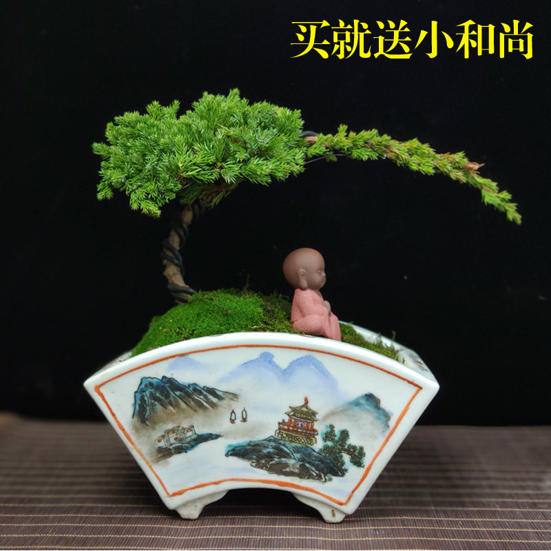 器景德镇陶瓷花盆松树手绘粉彩扇形树新中式兰花盆景山水图栽室内