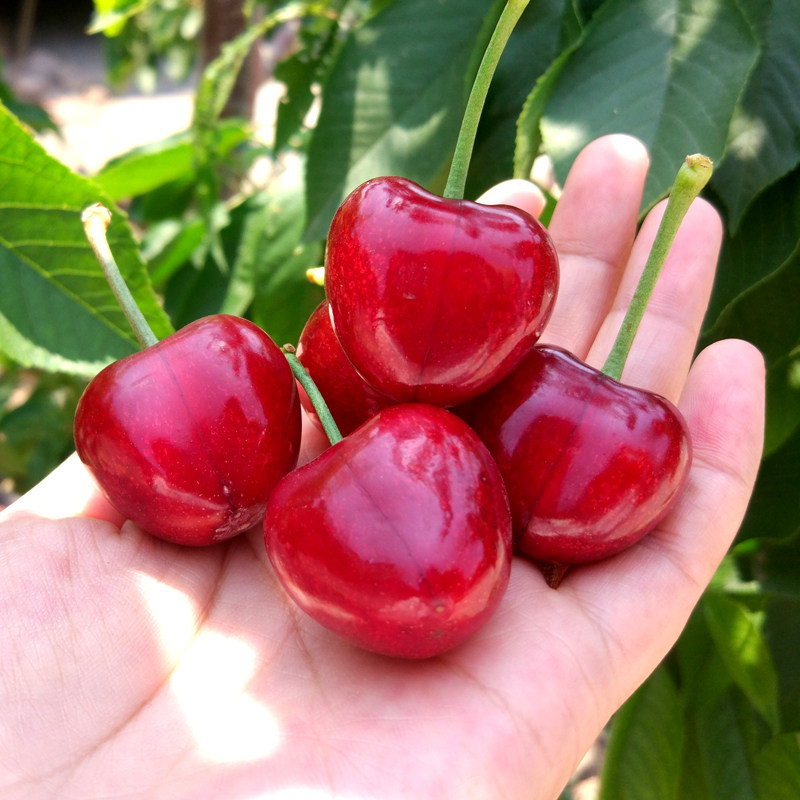 我们的优势:数十家优质网站,首页广告位,助您生意兴隆!