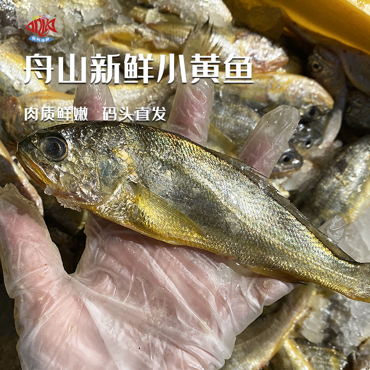 【闹妈海鲜】舟山新鲜小黄鱼 一斤8-9条款 te价|ruв категории водной мясо/свежие фрукты и овощи/еда, морепродукты/водные продукты/изделия, морепродукты и рыба, 黄鱼 - от Buy2taobao.com для оказания профессиональной услуги покупки агента Taobao