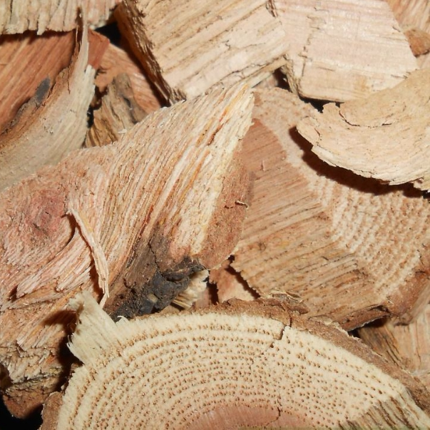 雷公藤 5斤包邮 包装 500g克 黄根藤 黄藤木 中药材市场