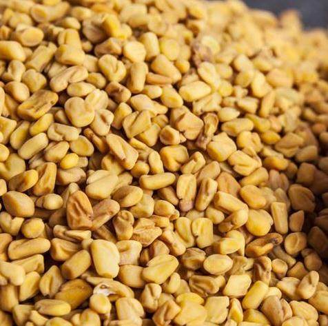 葫芦巴5斤包邮苦豆葫芦巴子葫芦巴籽500g克中草药材