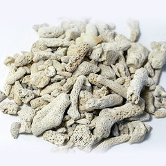 珊瑚骨滤材 珊瑚石珊瑚砂鱼缸水族过滤材料 珊瑚沙底砂造景滤材