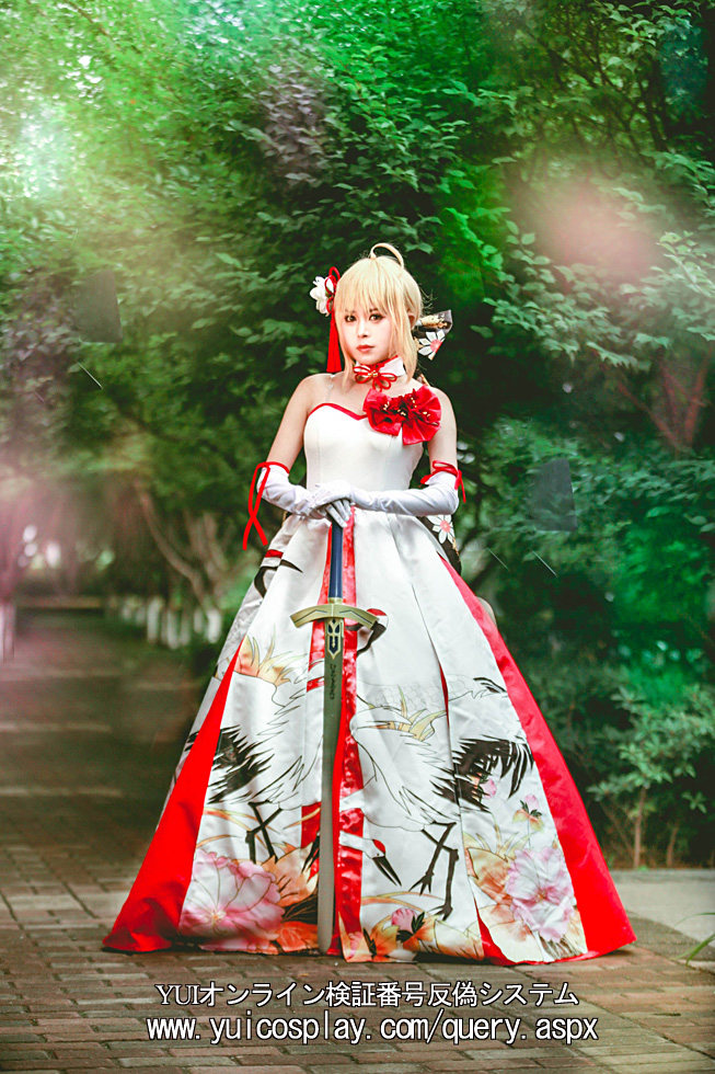 saber cos服仙鹤_[745羽翼]现货fate saber新年特典和风cos仙鹤礼服