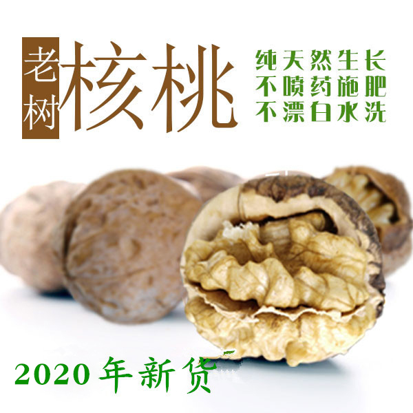 康县老树核桃新货天然无漂洗精选原味核桃 500g装 三斤送夹子