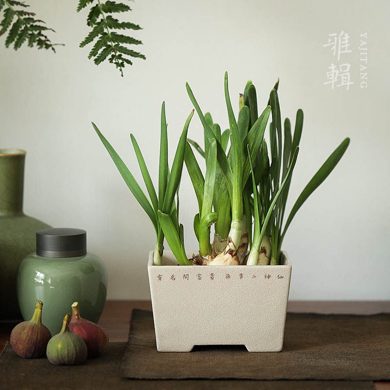 水仙花盆菖蒲盆 高温陶瓷 文房茶室清供