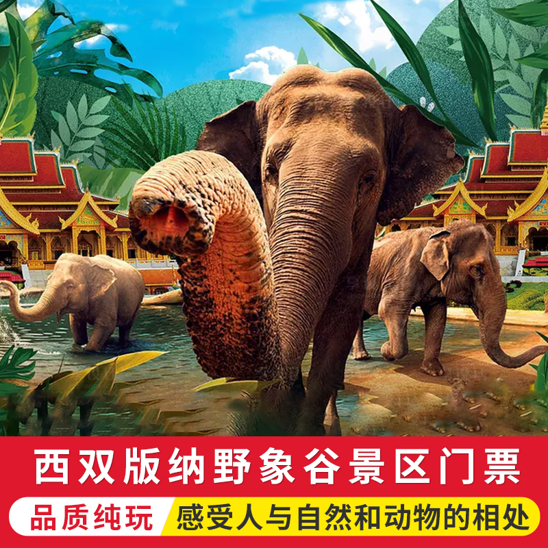 [野象谷景区-大门票]西双版纳野象谷门票含大象表演