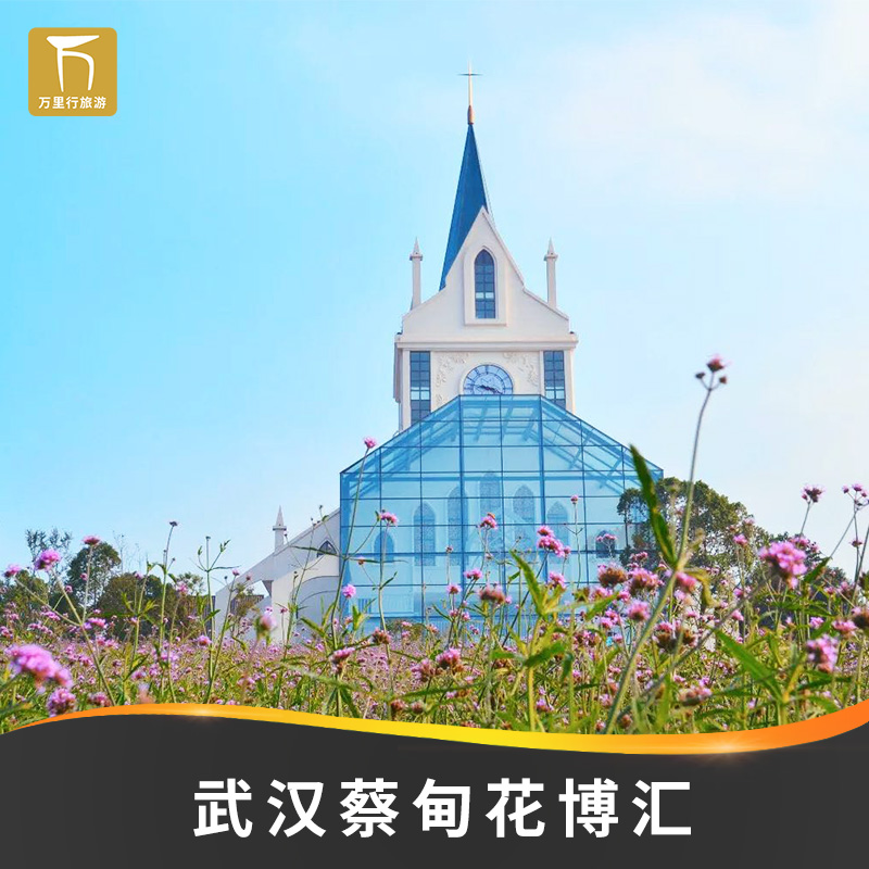 [武汉花博汇-魔幻旅程 摩天轮 花海小火车]武汉蔡甸花博汇门票套票